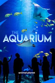 Das Atlanta Aquarium
